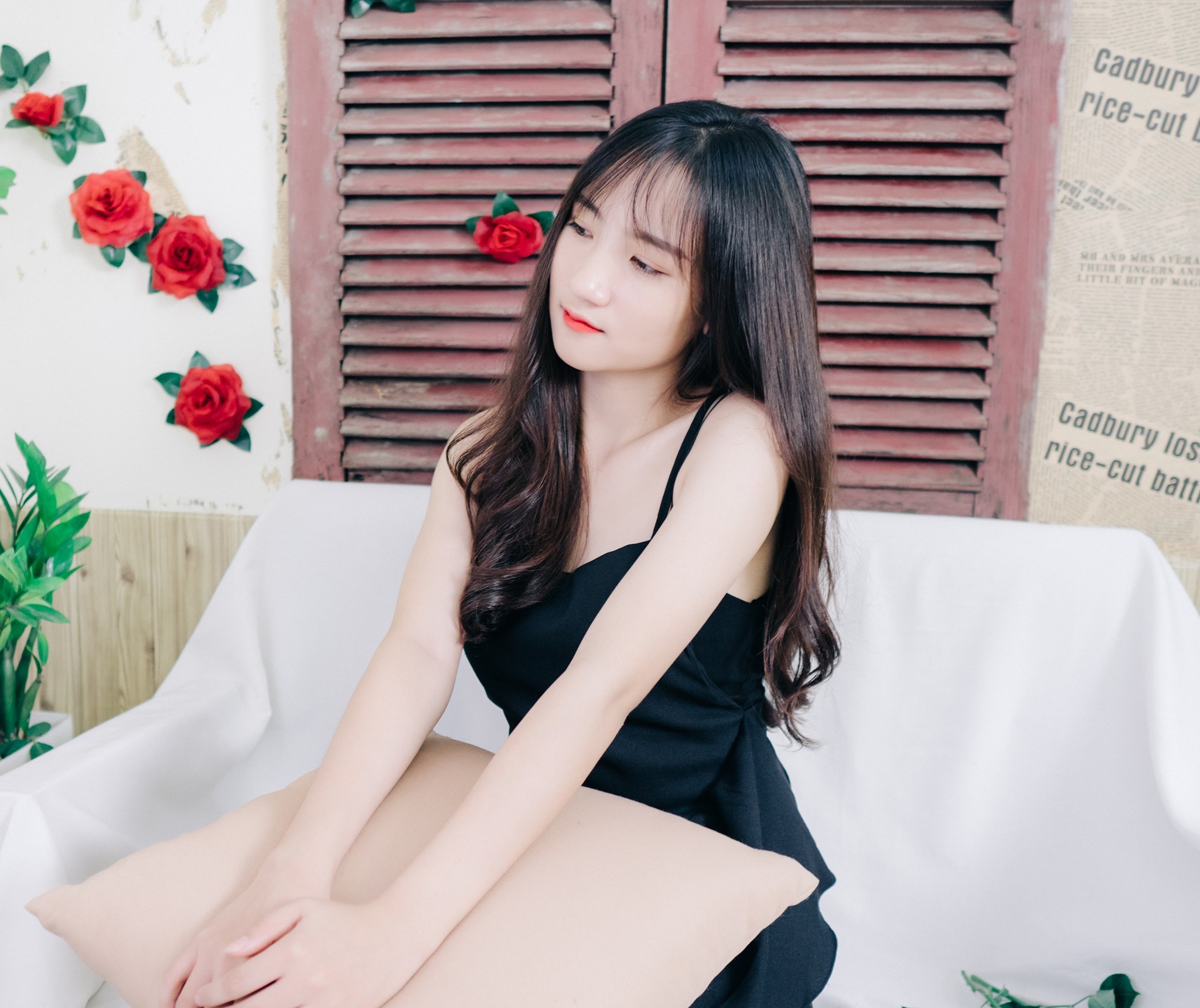 Dự án 7